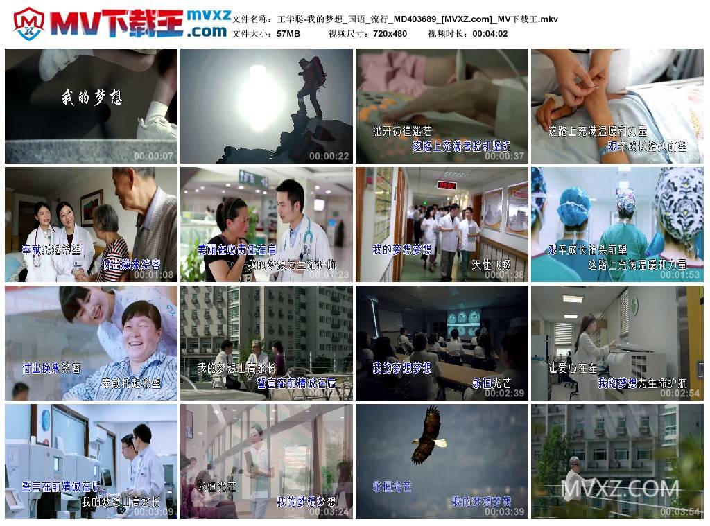 王华聪-我的梦想_国语_流行_MD403689